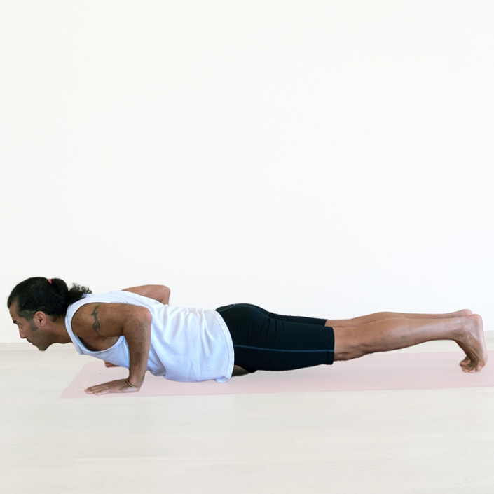 Low Plank Low Plank